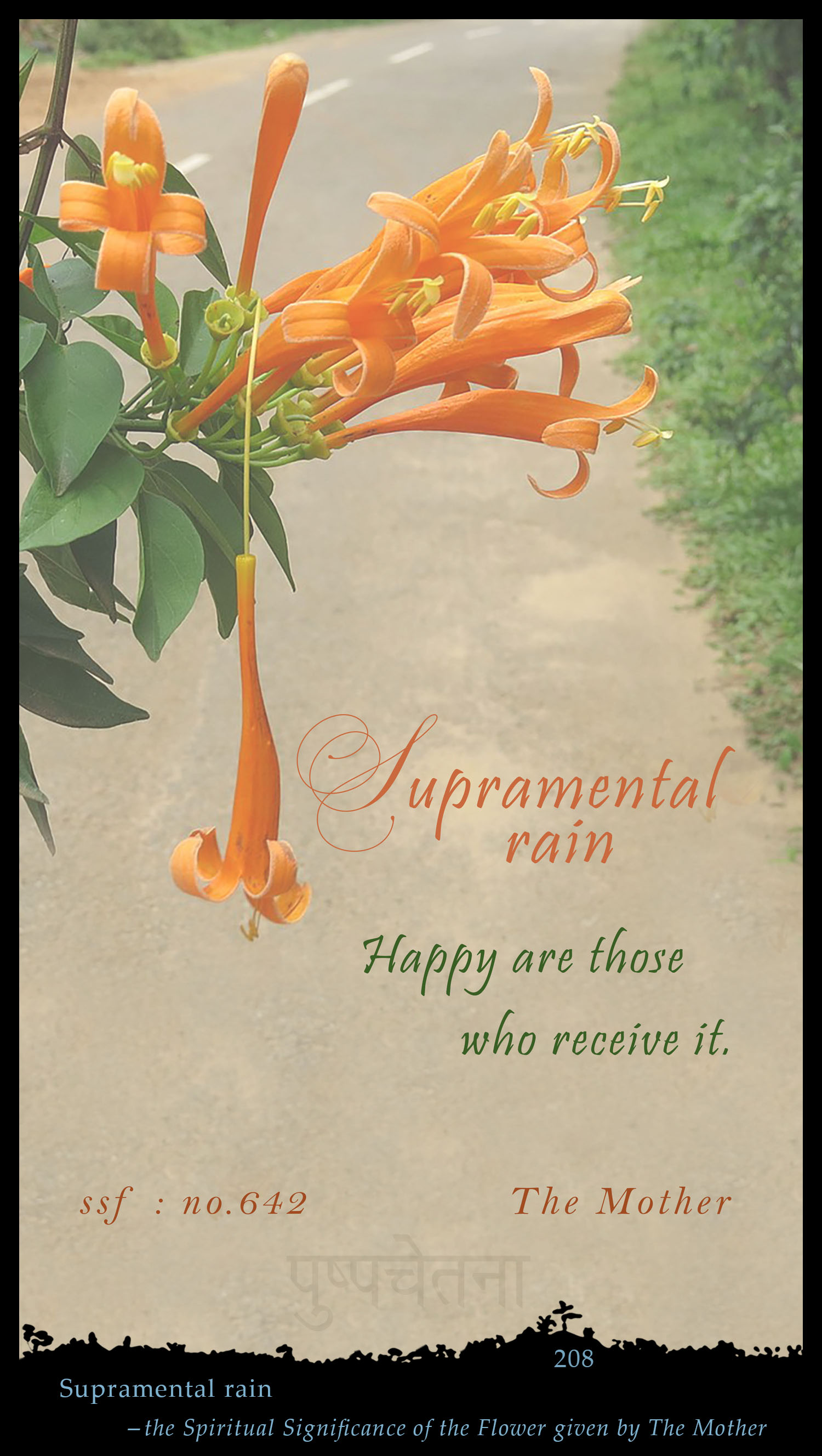 Supramental Rain